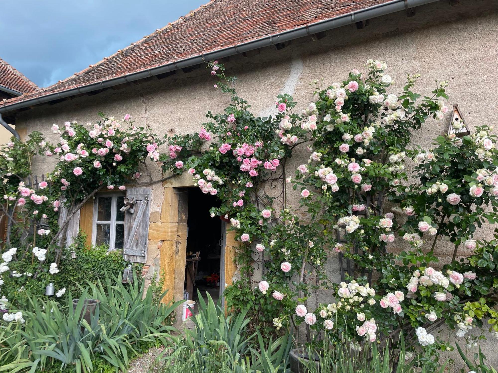 Les Jardins Des Soussilanges Bed & Breakfast Céron Eksteriør bilde